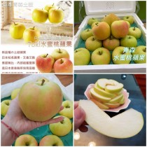 日本青森TOKI水蜜桃蘋果